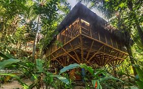 Universo Pol Bamboo Hostel